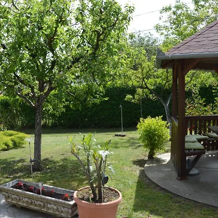 Katalin App. Zalagyoengye 잘라카로쉬